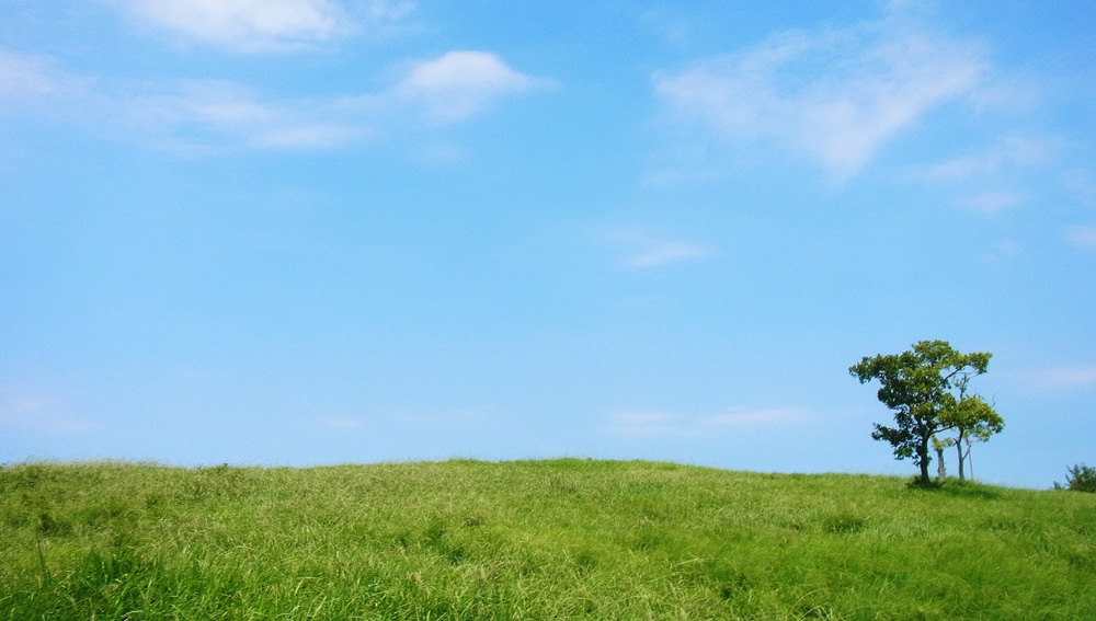  ������ѥ�.jp